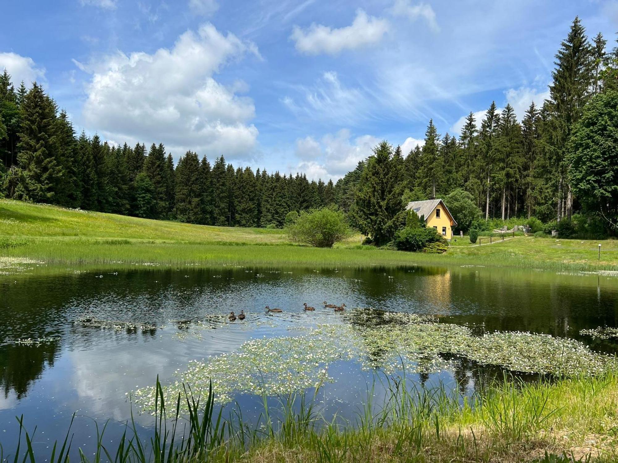 Berghotel Talblick Holzhau Exterior photo